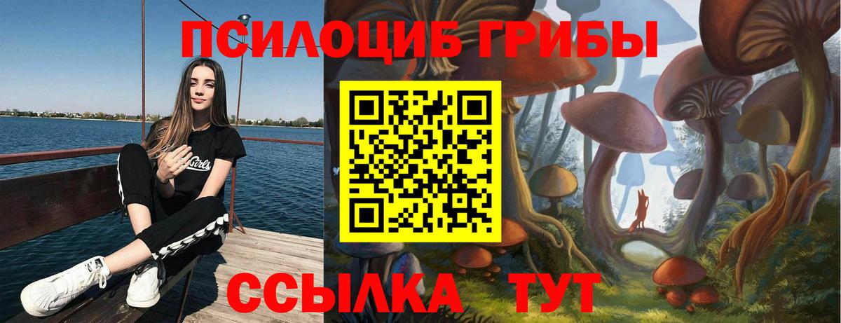 Псилоцибиновые грибы Cubensis  Вход с VPN  Галлюциногенные грибы GOLDEN TEACHER  Гусь-Хрустальный 