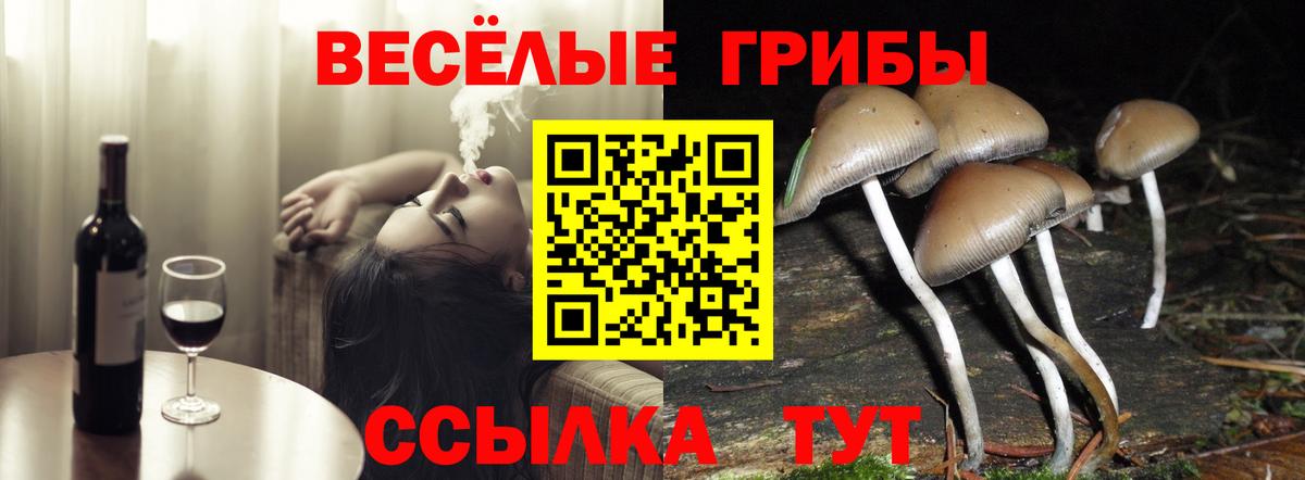 Галлюциногенные грибы прущие грибы Гусь-Хрустальный